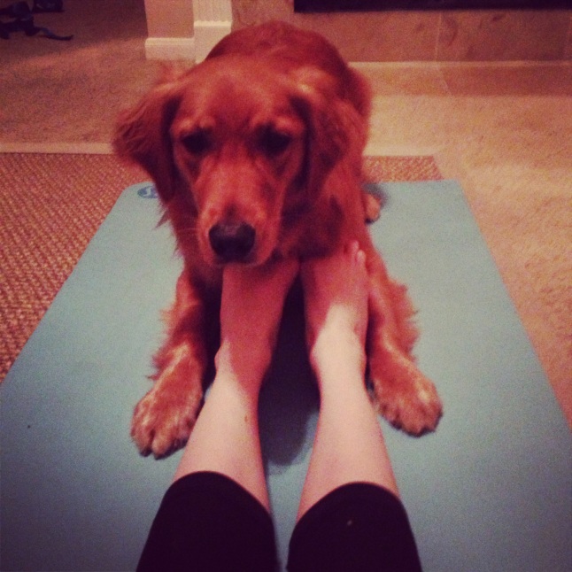 Puppy and Me Yoga